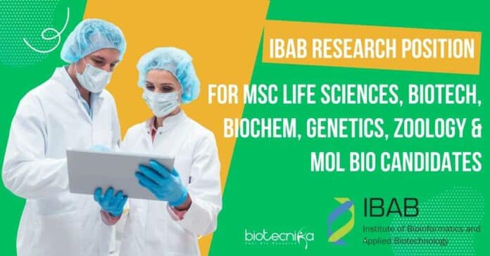 IBAB Research Position