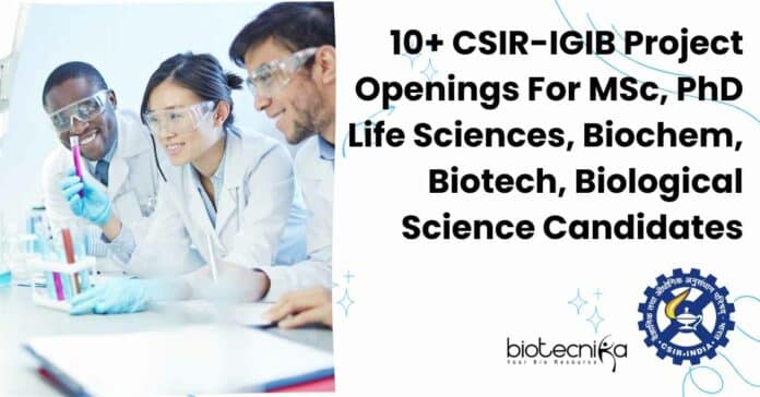 IGIB Multiple Project Vacancies