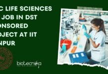 MSc Life Sciences JRF Job In DST Sponsored Project at IIT Kanpur IIT Kanpur JRF Recruitment