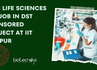 IIT Kanpur JRF Recruitment