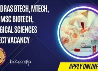 IIT Madras BTech