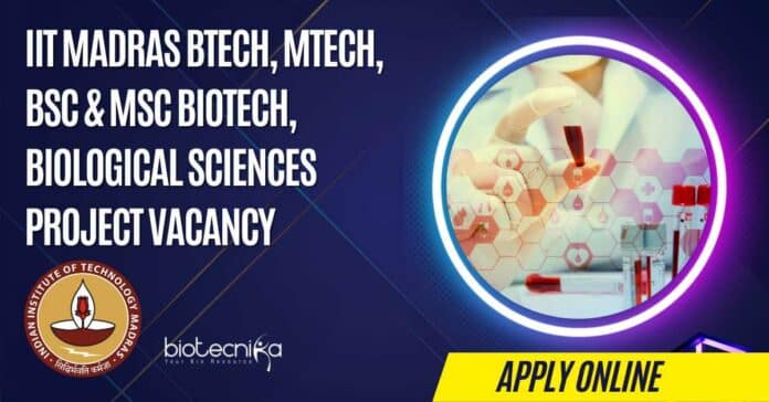 IIT Madras BTech
