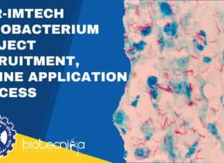 IMTECH Associate Jobs 2023