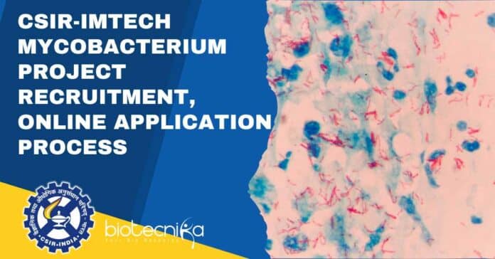 IMTECH Associate Jobs 2023