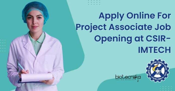 IMTECH Vacancies Online 2023