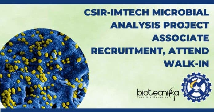 IMTECH Vacancy 2023 For