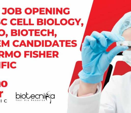 Intern Job Opening For