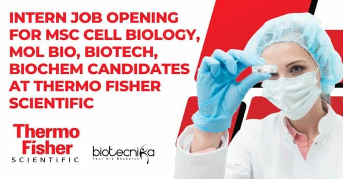 Intern Job Opening For