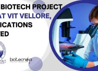 MSc Biotech Project Job