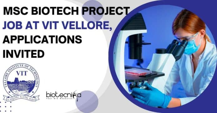 MSc Biotech Project Job