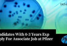 Candidates With 0-3 Years Exp Apply For Associate Job at Pfizer Microbiology Jobs Pfizer 2023