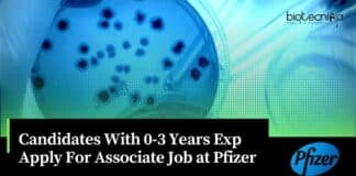 Microbiology Jobs Pfizer 2023