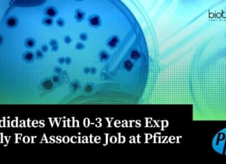Microbiology Jobs Pfizer 2023