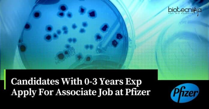 Microbiology Jobs Pfizer 2023