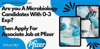 Microbiology Jobs at Pfizer
