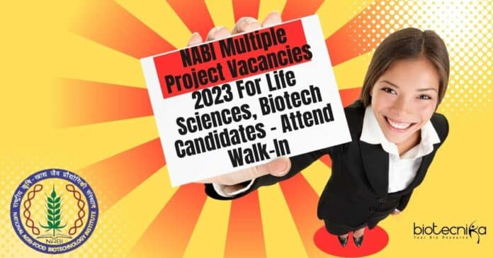 NABI Mohali Jobs 2023