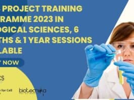 NCCS 2023 Project Training