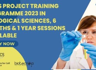 NCCS 2023 Project Training