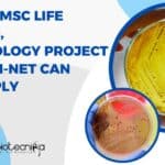 NCL Project Notification 2023