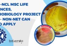 CSIR-NCL MSc Life Sciences, Microbiology Project Job – NON-NET Can Also Apply NCL Project Notification 2023