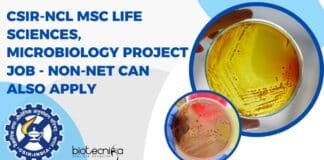 NCL Project Notification 2023