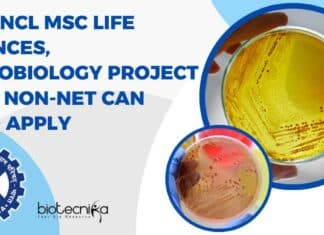 NCL Project Notification 2023