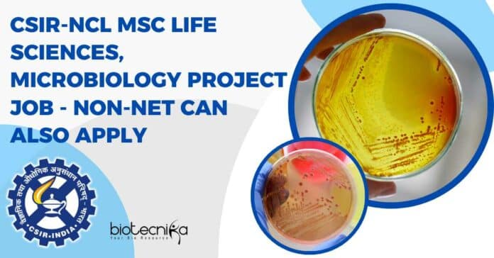 NCL Project Notification 2023