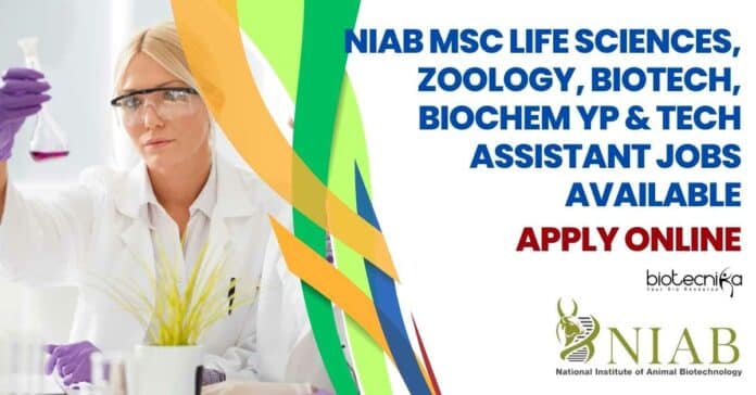NIAB Jobs 2023
