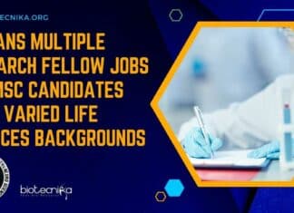 NIMHANS Research Fellow Jobs
