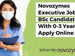 Novozymes Executive Job