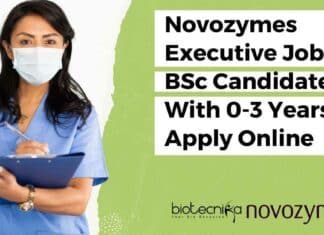 Novozymes Executive Job