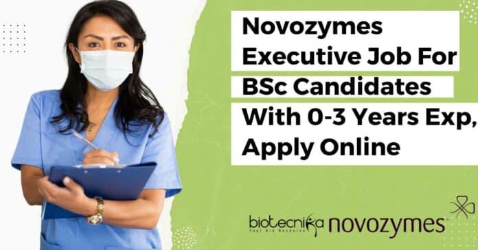 Novozymes Executive Job
