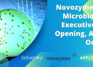 Novozymes QC Microbiology Executive