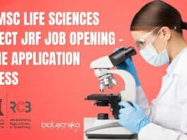 Project Vacancy RCB 2023