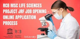 Project Vacancy RCB 2023