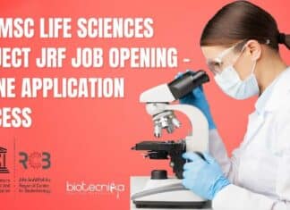 Project Vacancy RCB 2023
