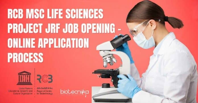 Project Vacancy RCB 2023