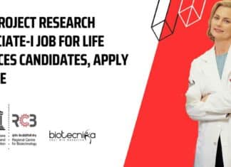 RCB Project Research Associate-I Job