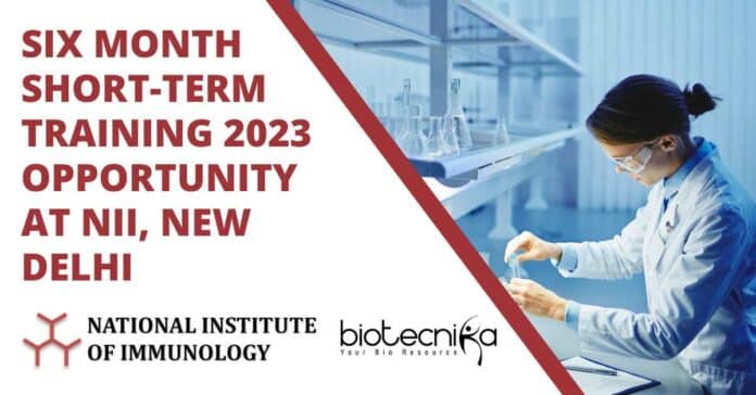 Six Month Short-Term Training 2023