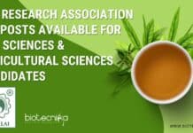 Tea Research Association JRF Posts Available For Life Sciences & Agricultural Sciences Candidates Tea Research Association JRFs