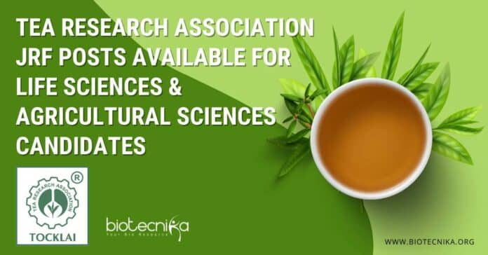 Tea Research Association JRFs