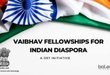 VAIBHAV Fellowships for Indian