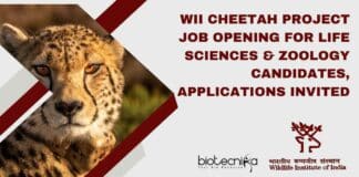 WII Project Job Notification