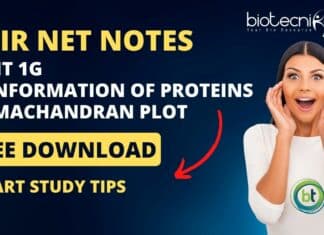 CSIR UNIT 1G Protein