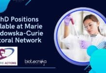 10 PhD Positions Available at Marie Sklodowska-Curie Doctoral Network 10 PhD Positions Available