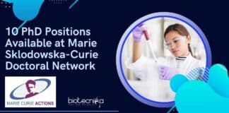 10 PhD Positions Available