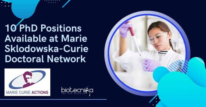 10 PhD Positions Available