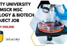 Amity University AIMMSCR MSc Biology & Biotech Project Job, Apply Online Amity University AIMMSCR MSc