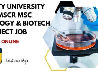Amity University AIMMSCR MSc