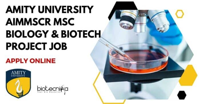 Amity University AIMMSCR MSc